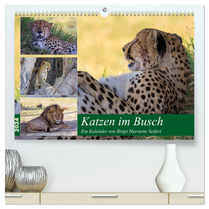 Katzen im Busch (CALVENDO Premium Wandkalender 2024)