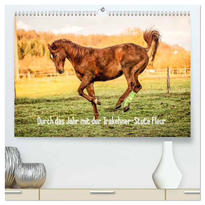 Durch das Jahr mit der Trakehner-Stute Fleur (CALVENDO Premium Wandkalender 2024)