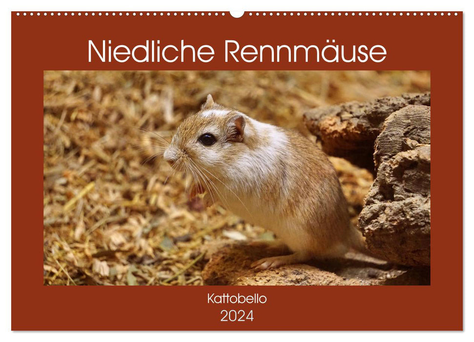 Niedliche Rennmäuse (CALVENDO Wandkalender 2024)