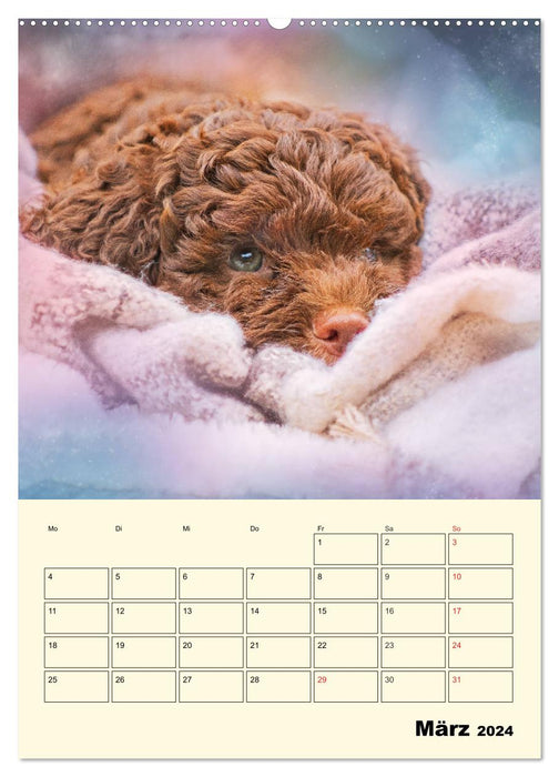 Jahresplaner Lagotto Romagnolo Welpen (CALVENDO Wandkalender 2024)