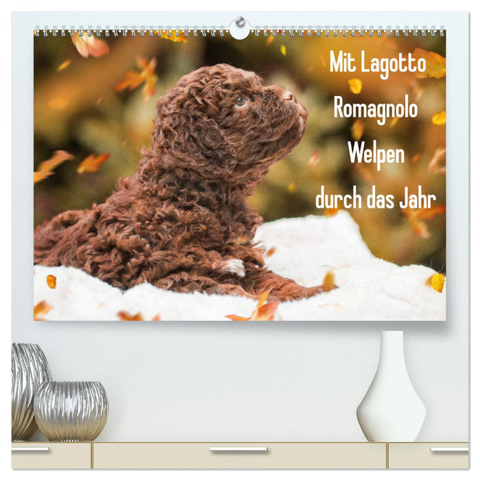 Mit Lagotto Romagnolo Welpen durch das Jahr (CALVENDO Premium Wandkalender 2024)