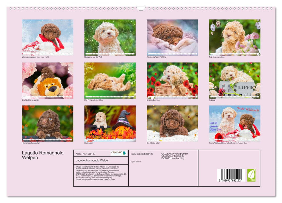 Mit Lagotto Romagnolo Welpen durch das Jahr (CALVENDO Premium Wandkalender 2024)