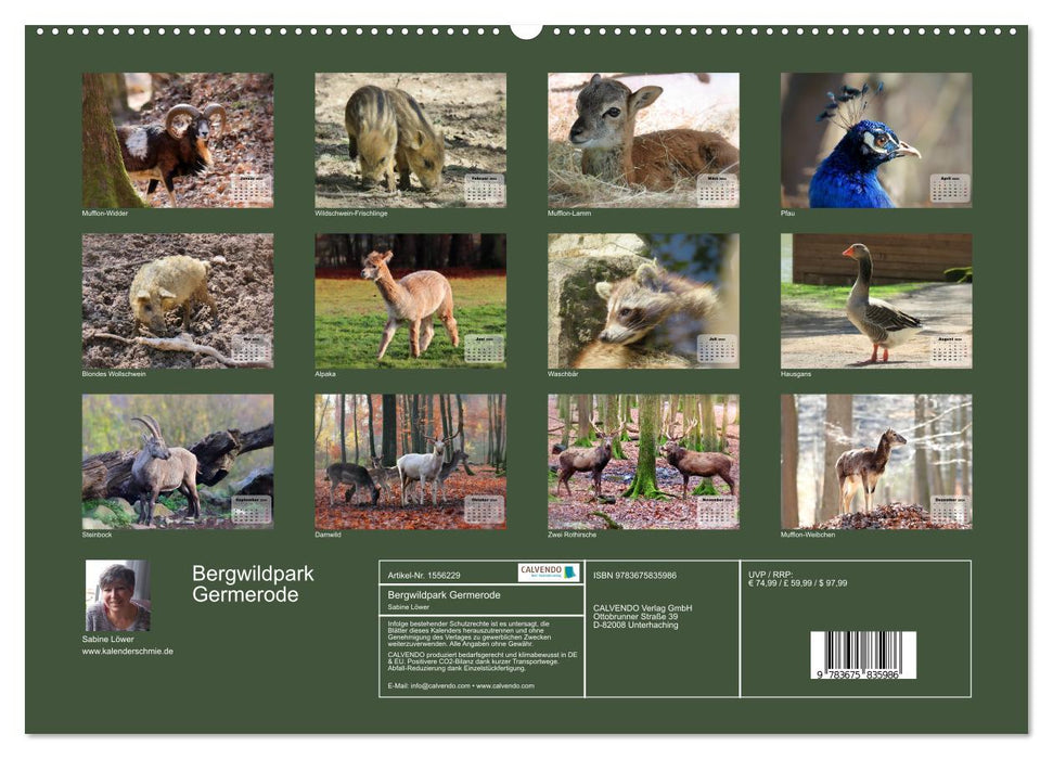 Bergwildpark Germerode (CALVENDO Premium Wandkalender 2024)