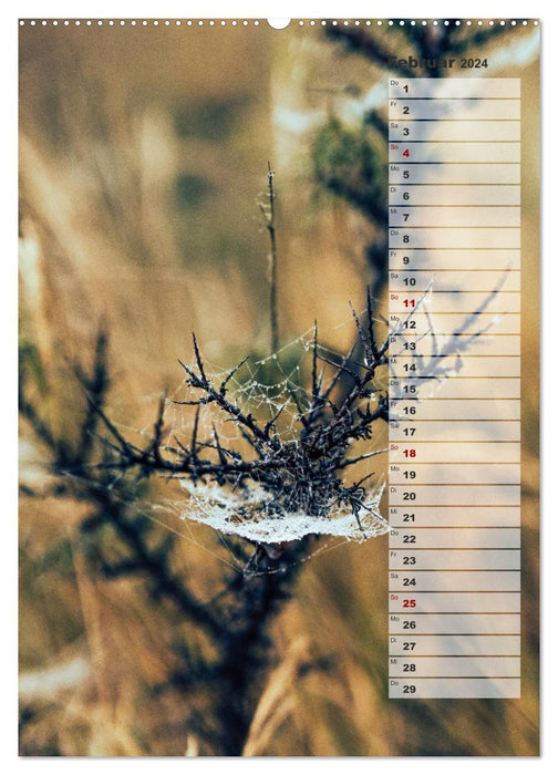 Kalender - Natur im Detail (CALVENDO Wandkalender 2024)