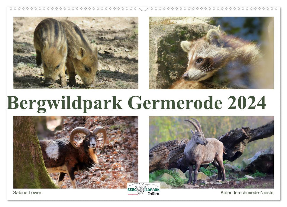 Parc animalier du mont Germerode (calendrier mural CALVENDO 2024) 