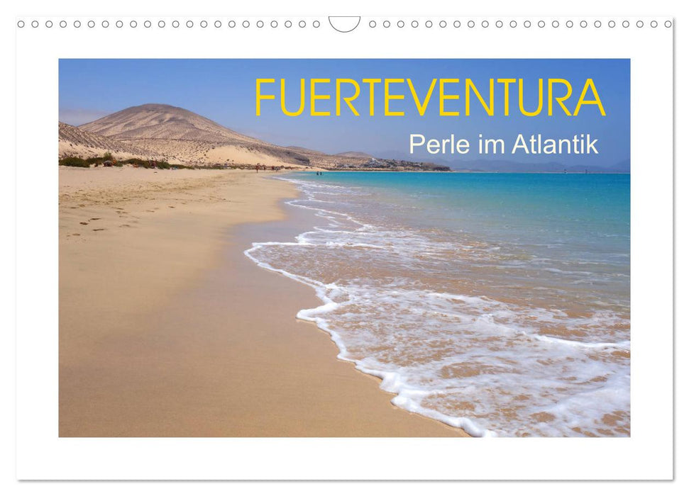 Fuerteventura - Perle de l'Atlantique (Calendrier mural CALVENDO 2024) 
