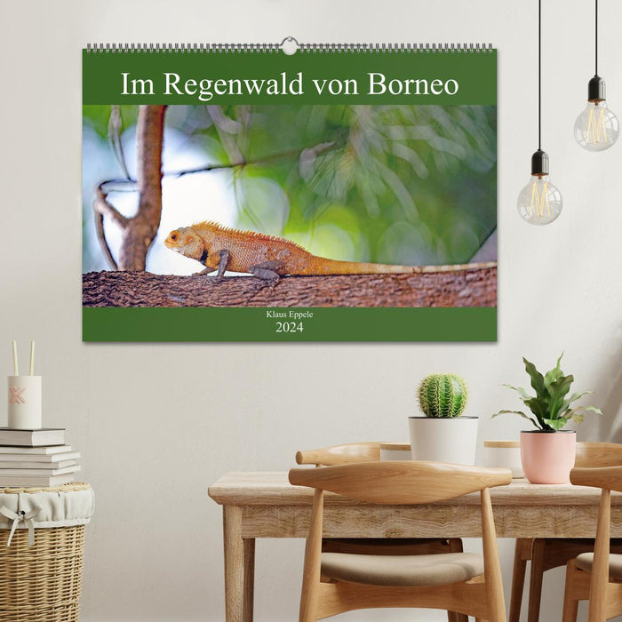 Im Regenwald von Borneo (CALVENDO Wandkalender 2024)