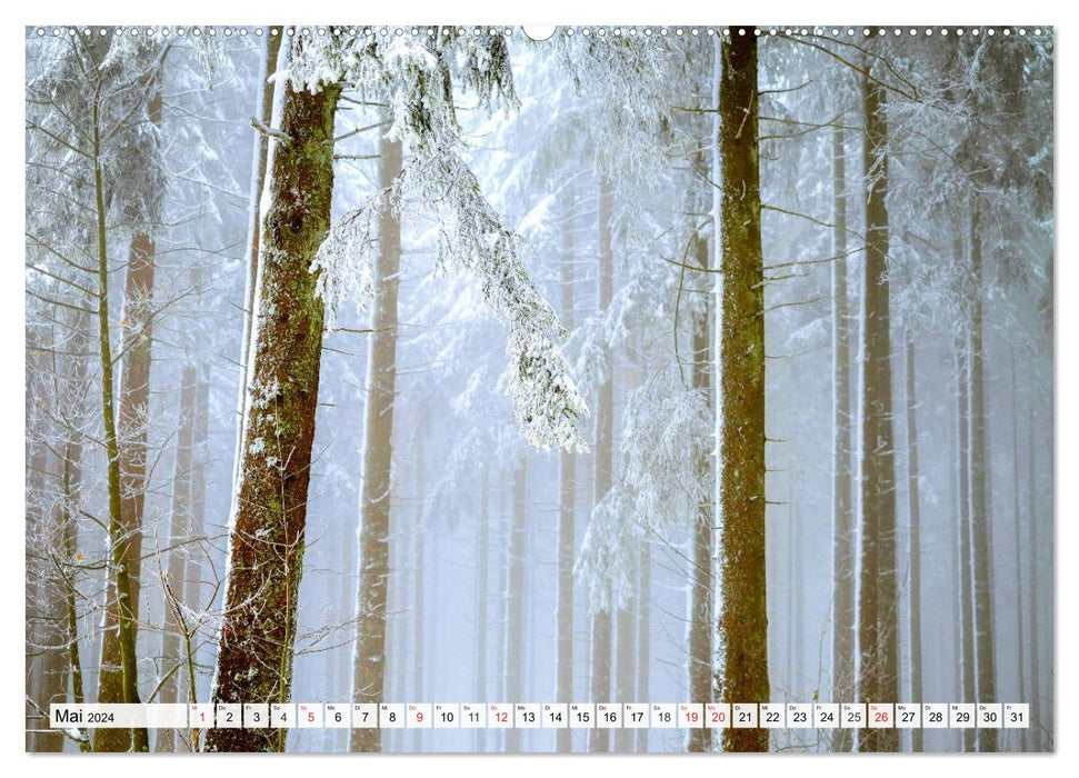 Eiszeit. Winter und Frost in der Natur (CALVENDO Premium Wandkalender 2024)