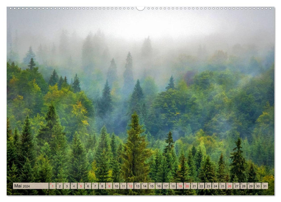 Leise durch den Wald. Sich Zeit nehmen und der Stille lauschen (CALVENDO Premium Wandkalender 2024)