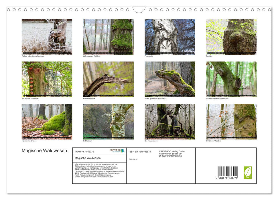 Magische Waldwesen (CALVENDO Wandkalender 2024)