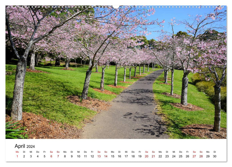 Auckland und Umgebung 2024 (CALVENDO Premium Wandkalender 2024)