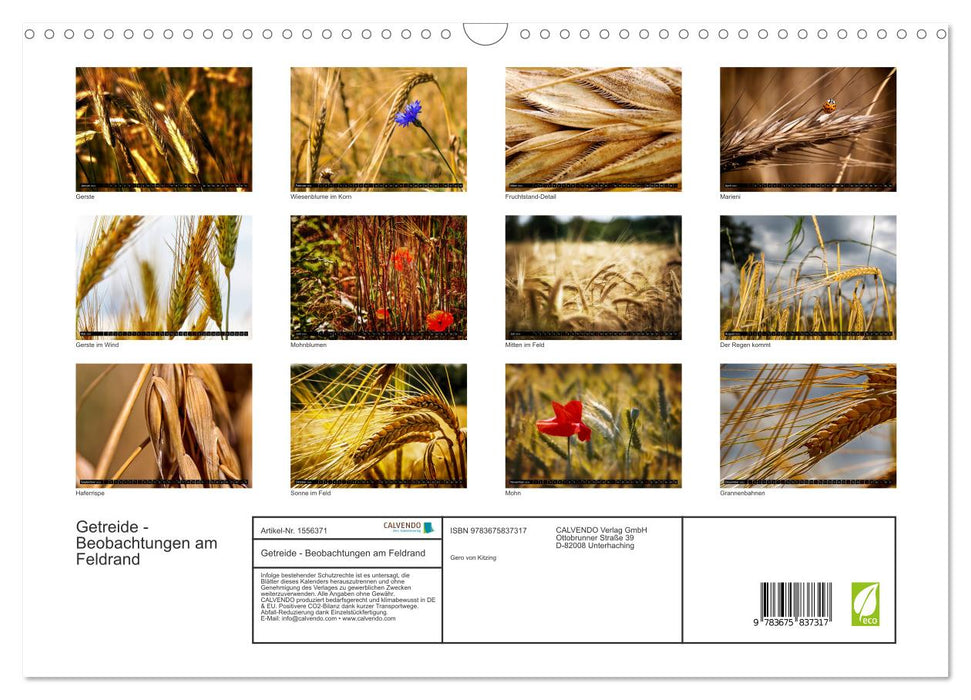 Getreide - Beobachtungen am Feldrand (CALVENDO Wandkalender 2024)