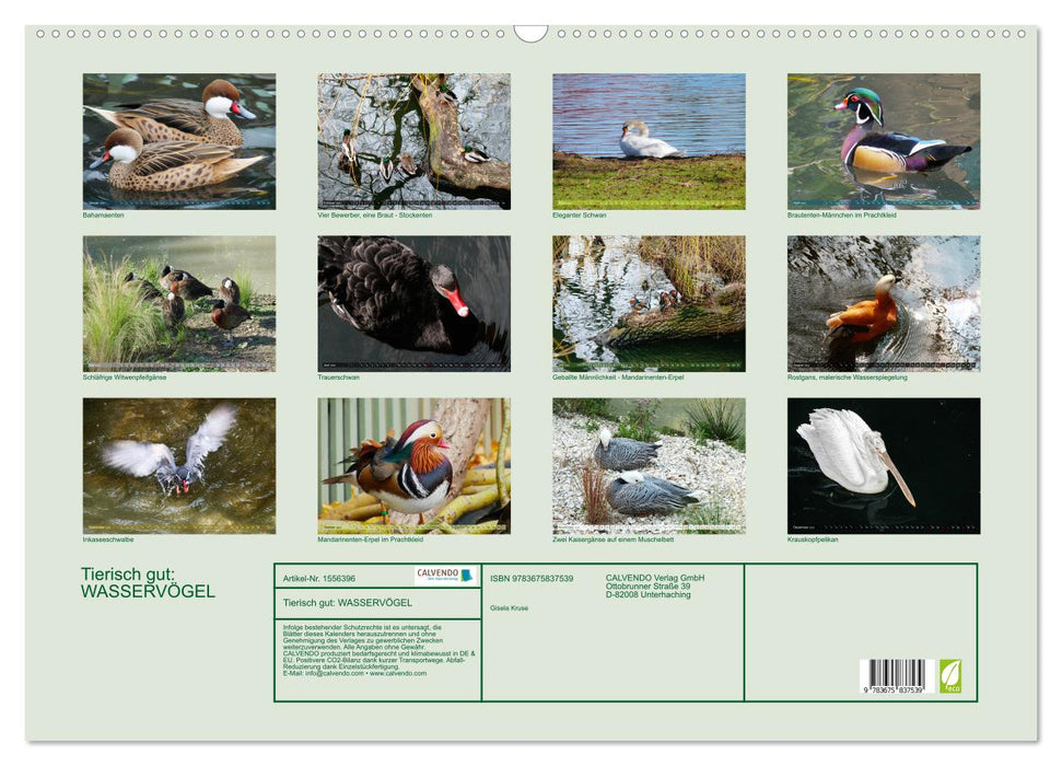 Animally good : oiseaux aquatiques (calendrier mural CALVENDO 2024) 