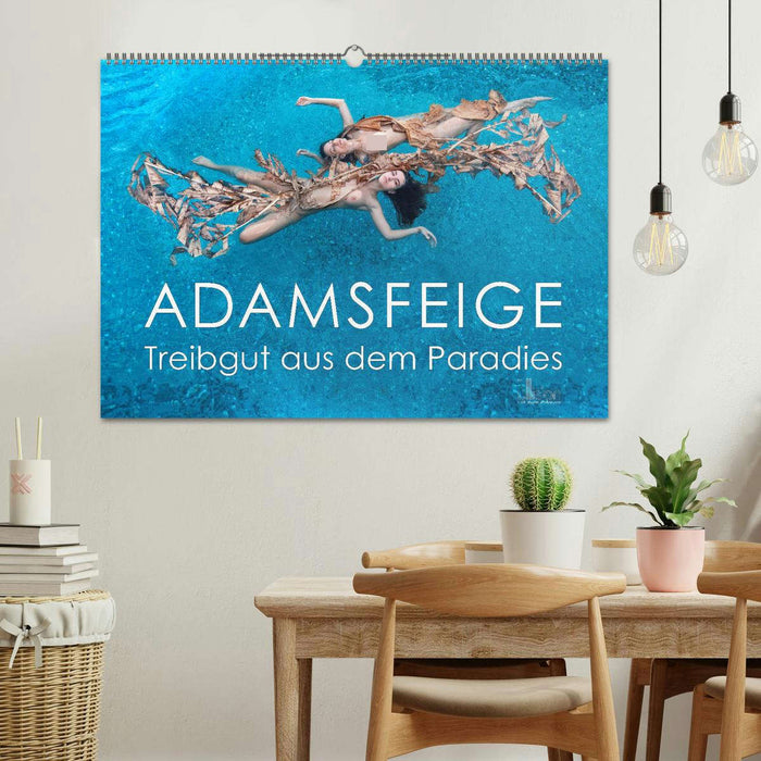 ADAMSFEIGE - Treibgut aus dem Paradies (CALVENDO Wandkalender 2024)