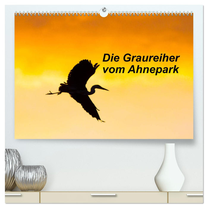 Die Graureiher vom Ahnepark (CALVENDO Premium Wandkalender 2024)