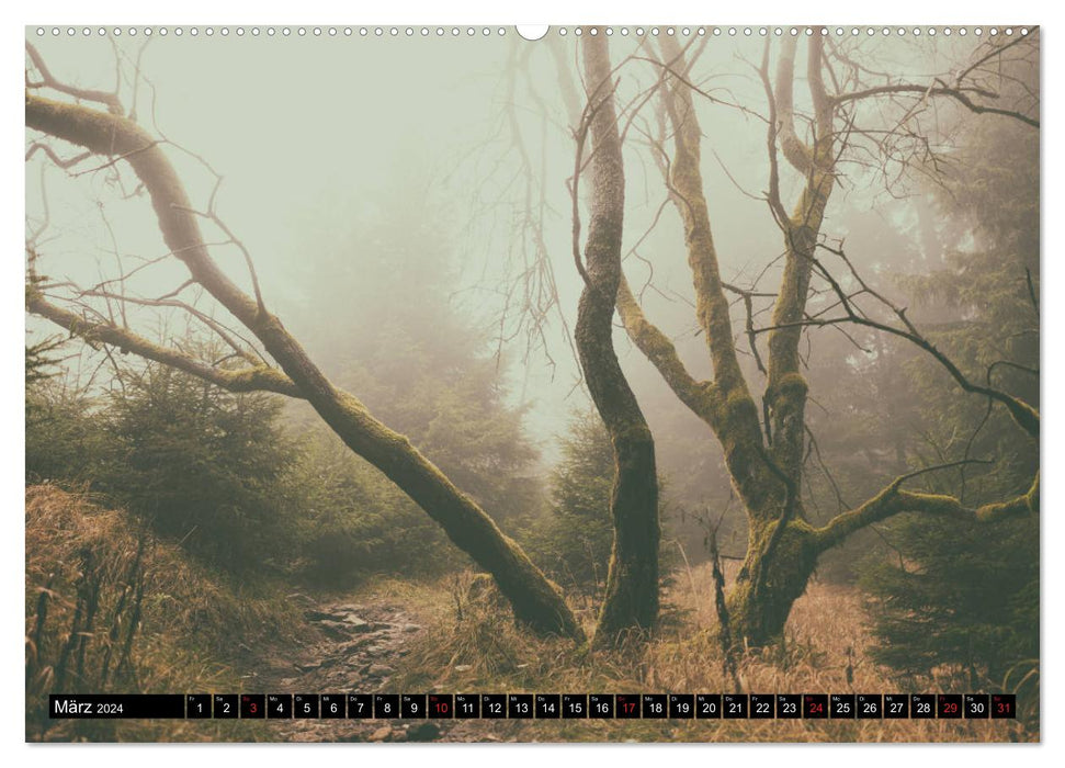 Wilde Wälder und Alleen im Herzen Mitteldeuschlands (CALVENDO Wandkalender 2024)