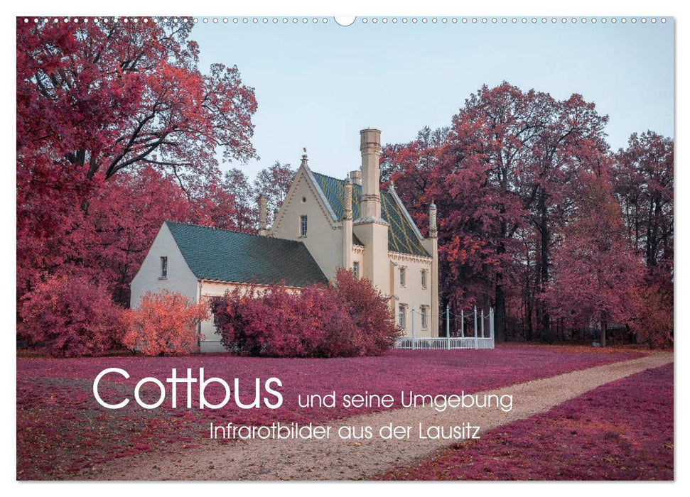 Cottbus und seine Umgebung in Infrarot (CALVENDO Wandkalender 2024)