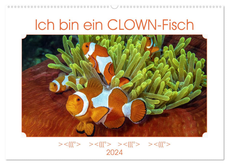 Ich bin ein CLOWN-Fisch (CALVENDO Wandkalender 2024)