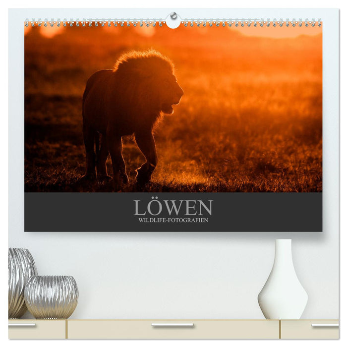 Löwen Wildlife-Fotografien (CALVENDO Premium Wandkalender 2024)