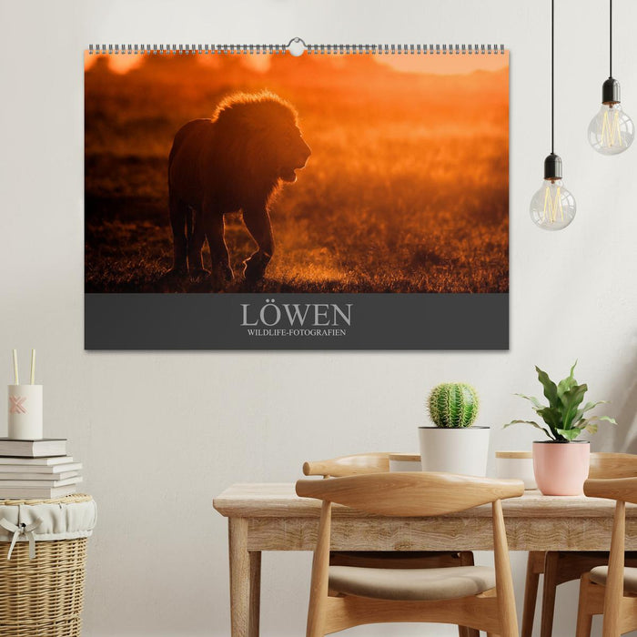 Löwen Wildlife-Fotografien (CALVENDO Wandkalender 2024)