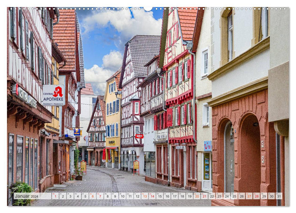 Mosbach Impressionen (CALVENDO Premium Wandkalender 2024)