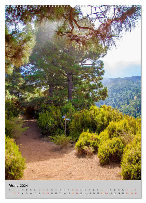 La Palma - (m)eine Herzenssache (CALVENDO Wandkalender 2024)