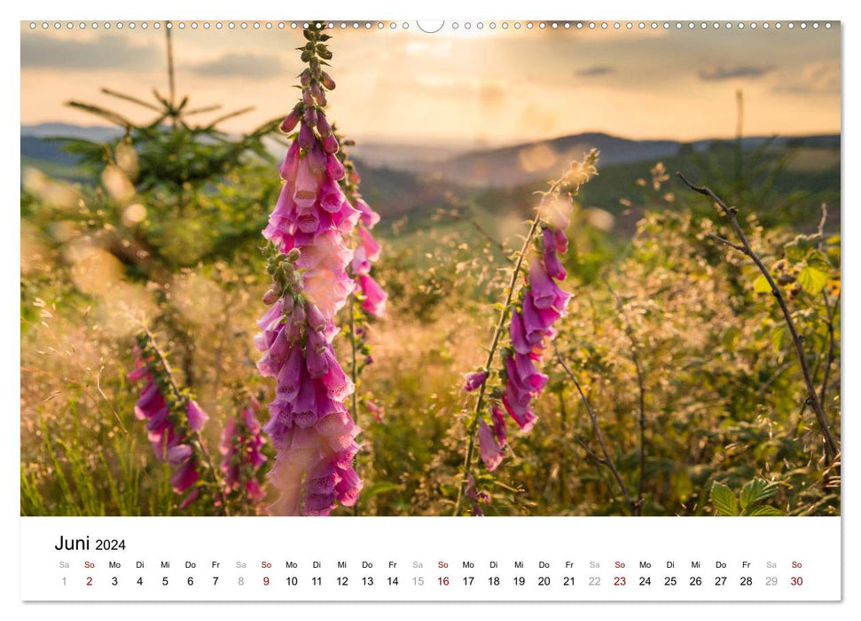 Sauerland, zu jeder Jahreszeit ein Naturgenuss (CALVENDO Premium Wandkalender 2024)