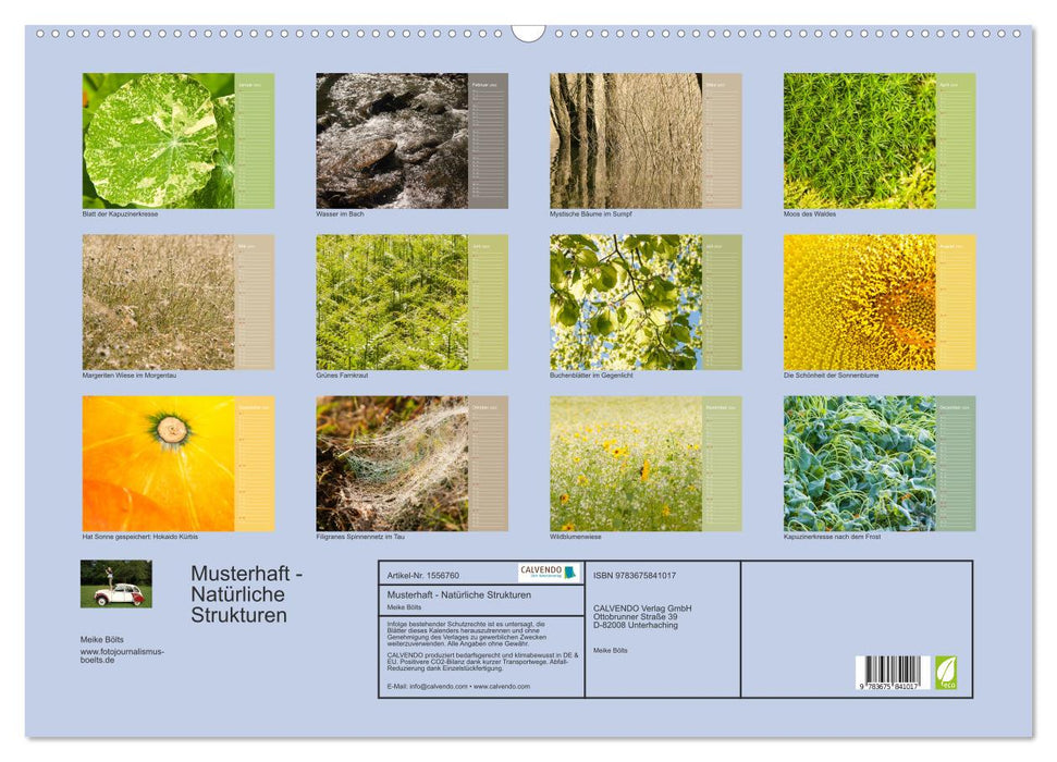 Musterhaft - Natürliche Strukturen (CALVENDO Wandkalender 2024)