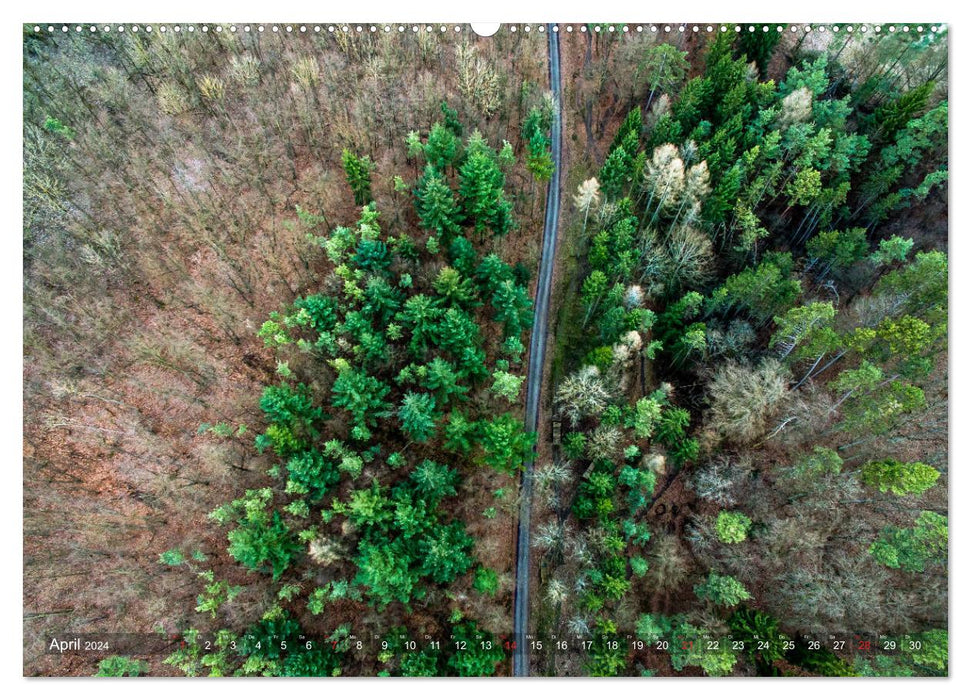 Wälder aus der Vogelperspektive (CALVENDO Premium Wandkalender 2024)