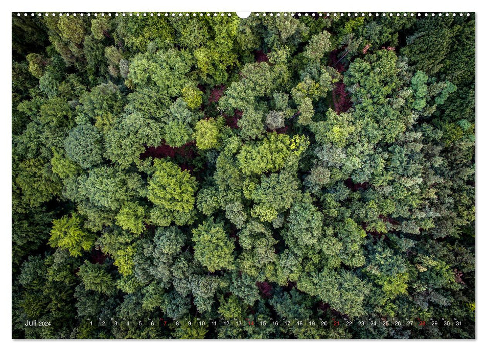 Wälder aus der Vogelperspektive (CALVENDO Premium Wandkalender 2024)