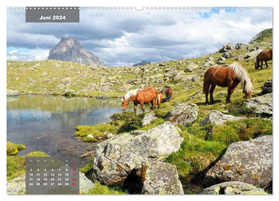 Die wilden Pyrenäen (CALVENDO Premium Wandkalender 2024)