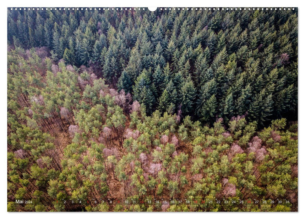 Wälder aus der Vogelperspektive (CALVENDO Wandkalender 2024)