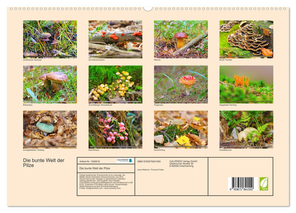 Die bunte Welt der Pilze (CALVENDO Premium Wandkalender 2024)