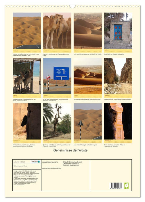 Geheimnisse der Wüste (CALVENDO Wandkalender 2024)