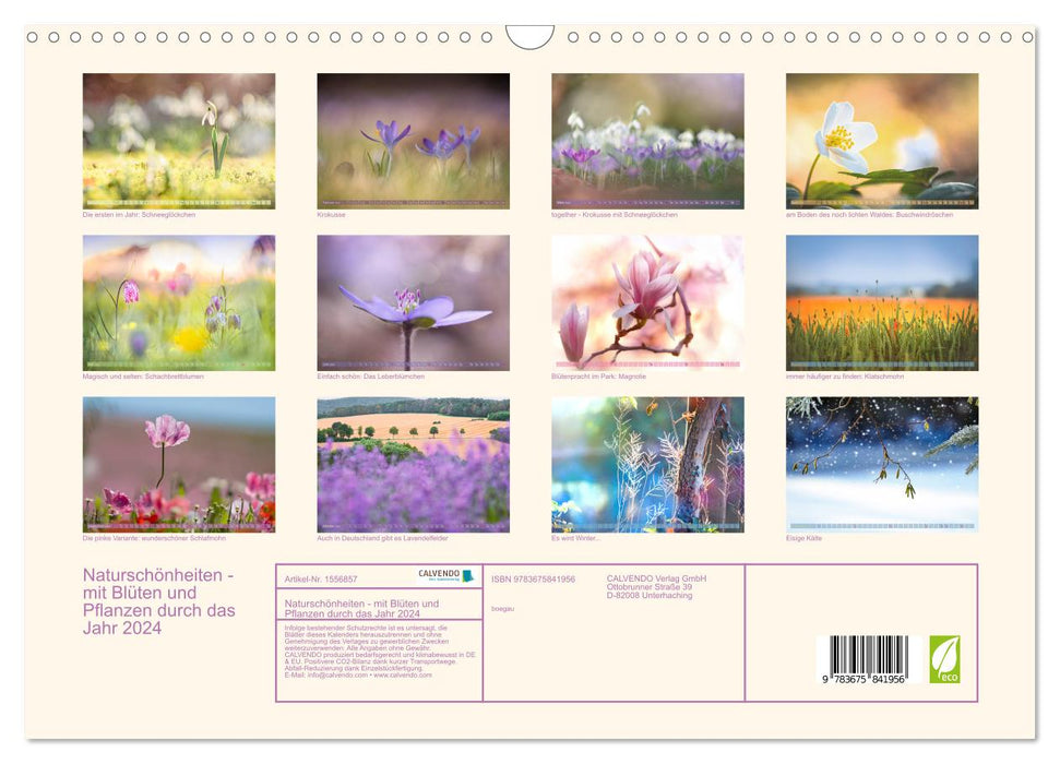 Naturschönheiten - mit Blüten und Pflanzen durch das Jahr (CALVENDO Wandkalender 2024)