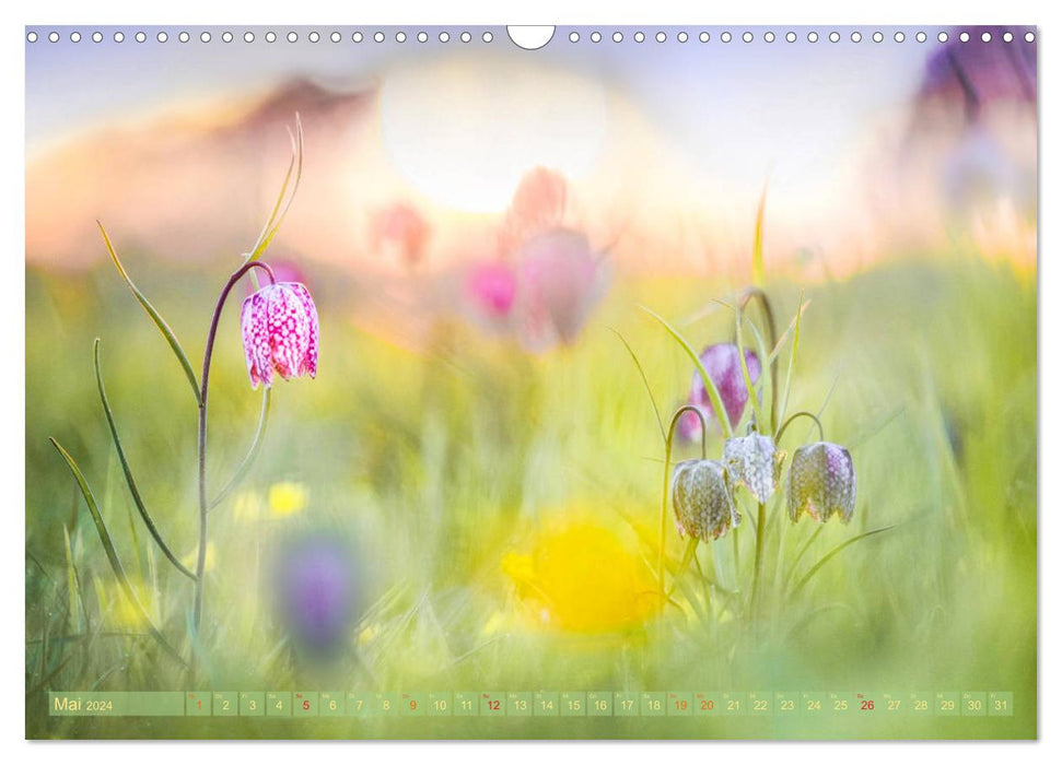 Naturschönheiten - mit Blüten und Pflanzen durch das Jahr (CALVENDO Wandkalender 2024)
