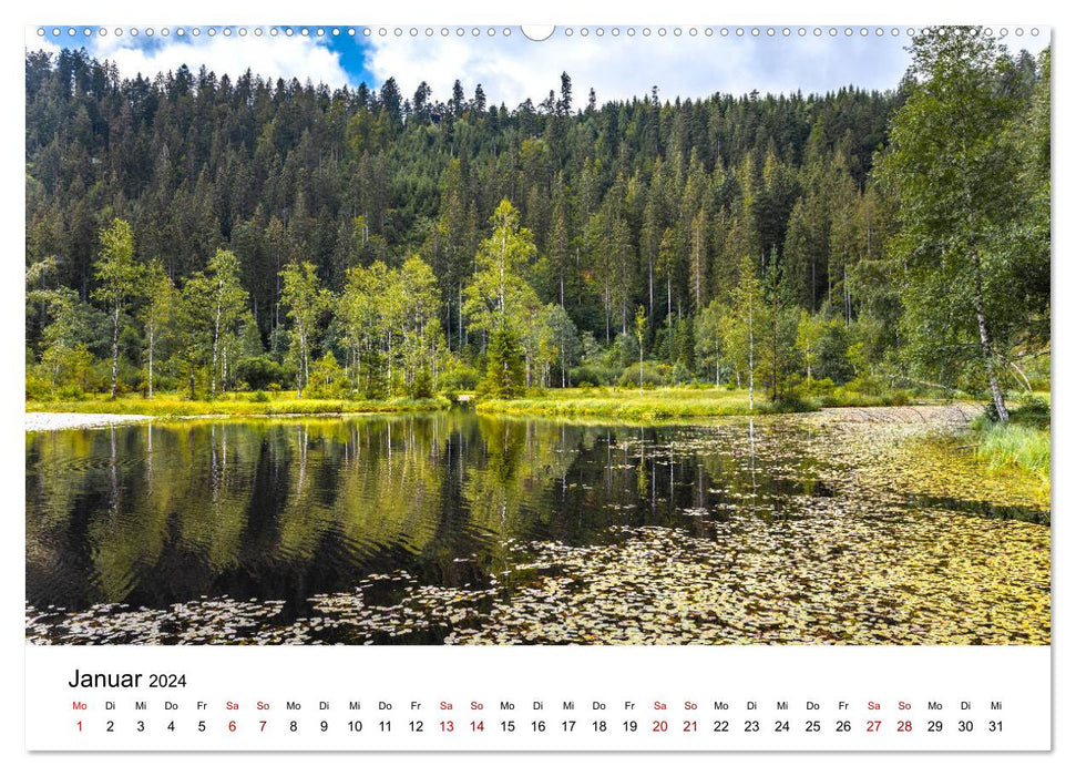 Schwarzwald, Seen und Hochmoore (CALVENDO Premium Wandkalender 2024)