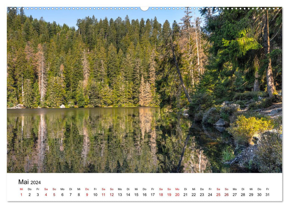 Schwarzwald, Seen und Hochmoore (CALVENDO Wandkalender 2024)