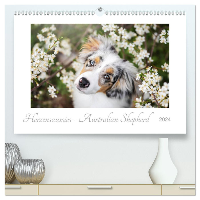 Herzensaussies - Australian Shepherd (CALVENDO Premium Wandkalender 2024)