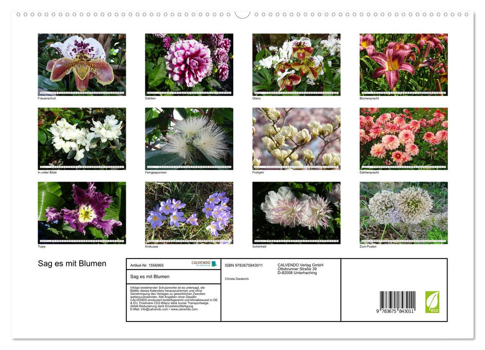 Sag es mit Blumen (CALVENDO Premium Wandkalender 2024)