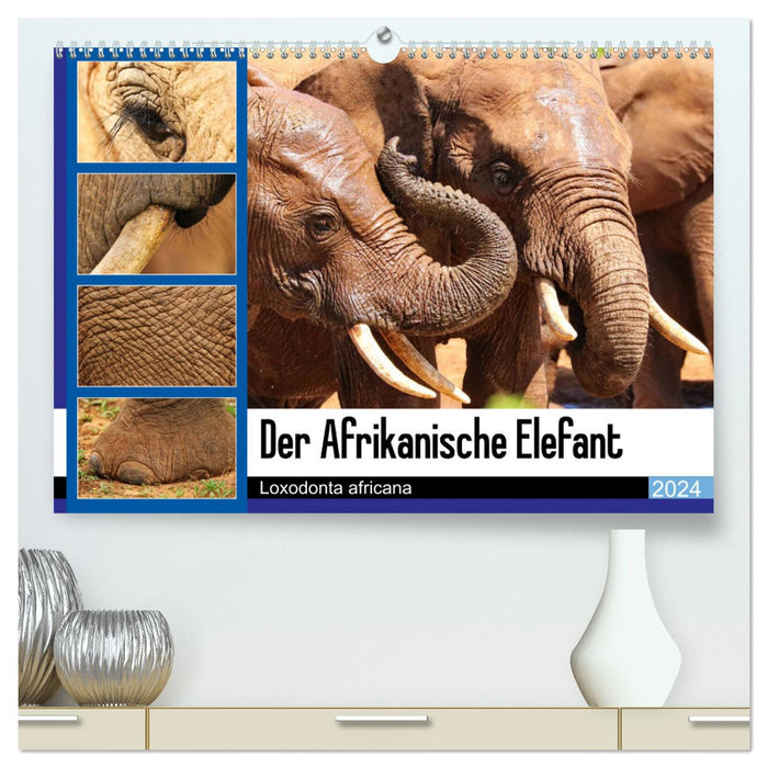 Der Afrikanische Elefant - Loxodonta africana (CALVENDO Premium Wandkalender 2024)