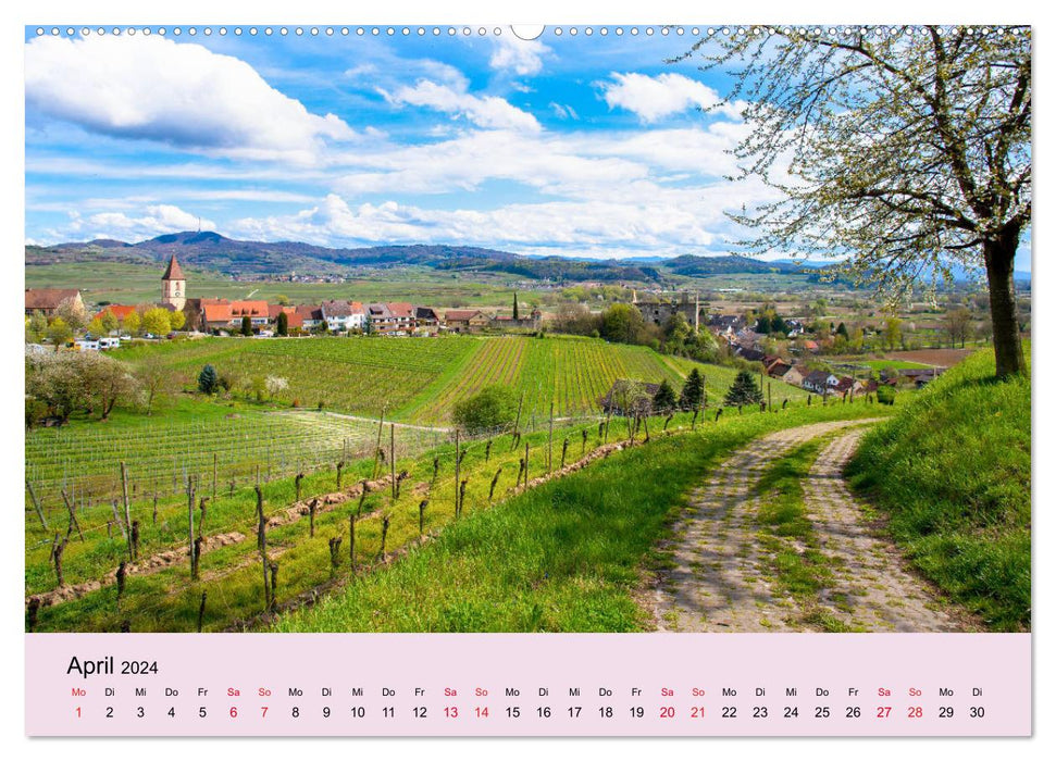 Augenblicke im Kaiserstuhl (CALVENDO Wandkalender 2024)