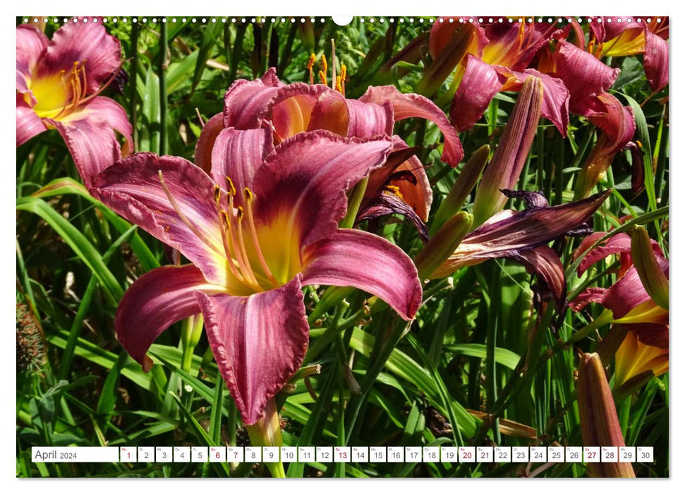 Sag es mit Blumen (CALVENDO Wandkalender 2024)