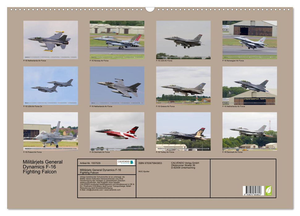 Militärjets General Dynamics F-16 Fighting Falcon (CALVENDO Wandkalender 2024)
