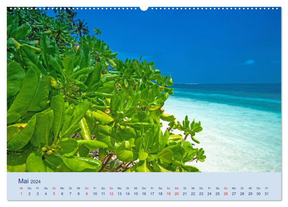 Malediven - Dreamland (CALVENDO Wandkalender 2024)