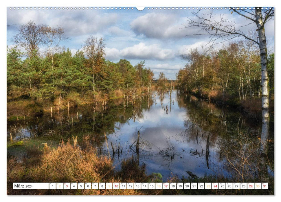 Herbsttage im Pietzmoor - Lüneburger Heide (CALVENDO Premium Wandkalender 2024)