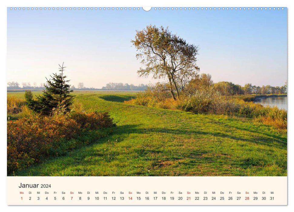 Ummanz - Naturparadies in der Rügener Boddenlandschaft (CALVENDO Premium Wandkalender 2024)