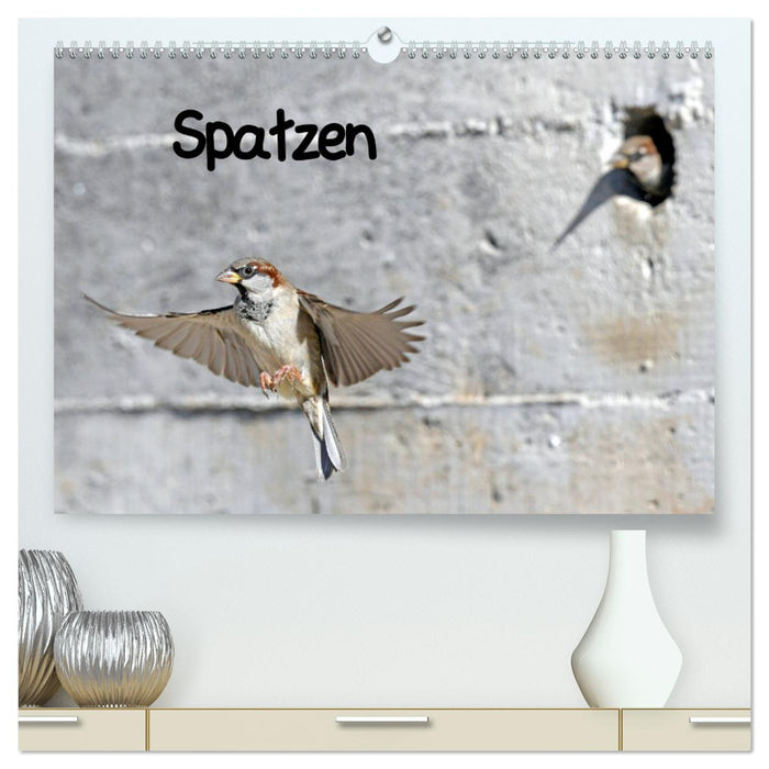 Spatzen (CALVENDO Premium Wandkalender 2024)