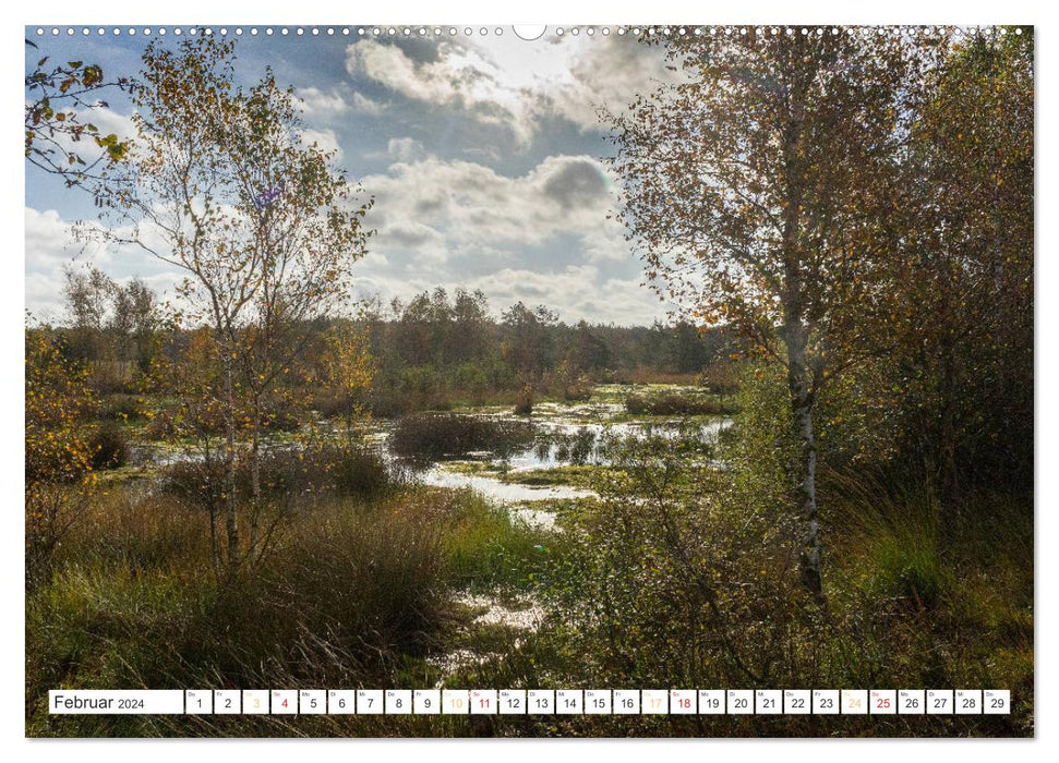 Herbsttage im Pietzmoor - Lüneburger Heide (CALVENDO Wandkalender 2024)