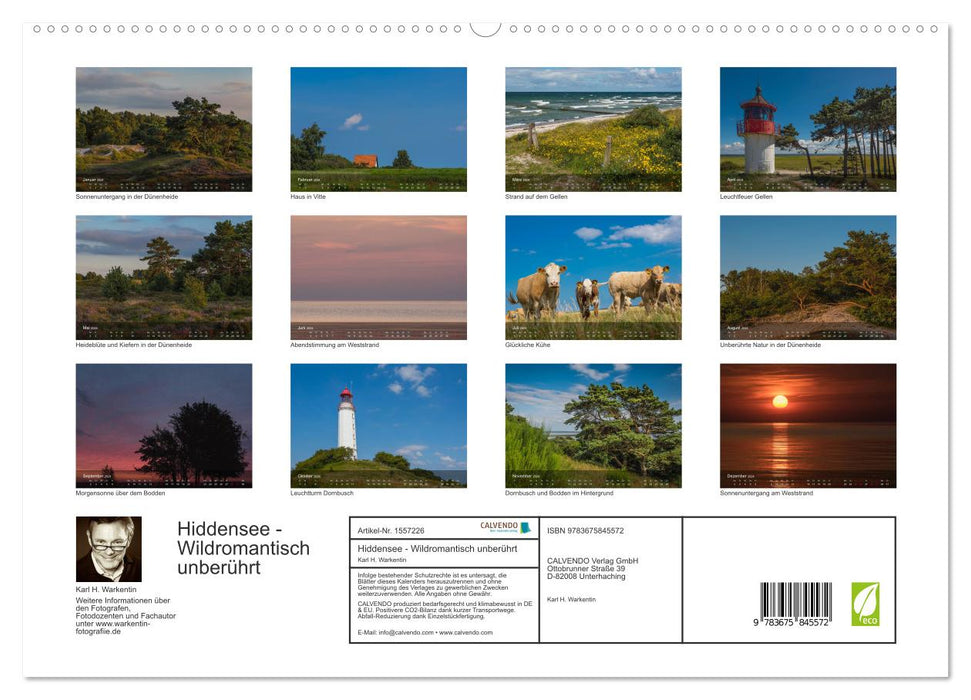 Insel Hiddensee - Wildromantisch unberührt (CALVENDO Premium Wandkalender 2024)